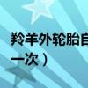 羚羊外輪胎自己可以換嗎（羚羊車輪胎多久換一次）