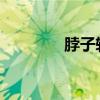 脖子轉彎處故事的主要內容