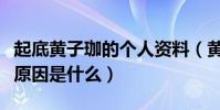 起底黃子珈的個人資料(黃子珈與趙胤胤分手原因是什么)