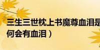 三生三世枕上書魔尊血淚是什么(鳳尾花中為何會有血淚)