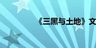 《三黑與土地》文本綜述