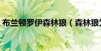 布蘭頓羅伊森林狼(森林狼為什么交易羅伊)