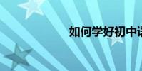 如何學好初中語文