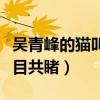 吳青峰的貓叫什么名字（他對貓的喜愛大家有目共睹）