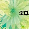 蛋白質的基本單位是什么？