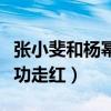 張小斐和楊冪是同班嗎（入圈多年的她終于成功走紅）