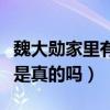 魏大勛家里有錢嗎（網曝魏大勛已和楊冪同居是真的嗎）