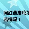 網紅費啟鳴怎么突然火了（費啟鳴的女友是章若楠嗎）