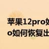 蘋果12pro如何恢復出廠設置（iPhone12Pro如何恢復出廠設置）