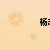 楊志賣刀主要內容綜述