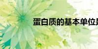 蛋白質的基本單位是什么?