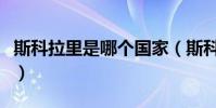 斯科拉里是哪個國家(斯科拉里為什么叫將軍)