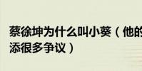 蔡徐坤為什么叫小葵(他的超高人氣也為他增添很多爭議)