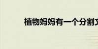 植物媽媽有一個分割文本的方法