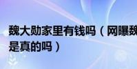 魏大勛家里有錢嗎(網曝魏大勛已和楊冪同居是真的嗎)