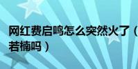 網紅費啟鳴怎么突然火了(費啟鳴的女友是章若楠嗎)