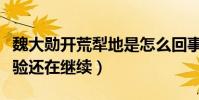 魏大勛開荒犁地是怎么回事(節目上的農活體驗還在繼續)
