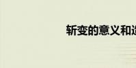 斬變的意義和造句