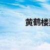 黃鶴樓里的老朋友是什么意思？