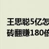 王思聰5億怎么賺40億（網友調侃五元手套搬磚翻賺180倍）
