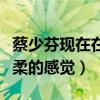 蔡少芬現在在干嘛（社交網站曬出近照給人溫柔的感覺）