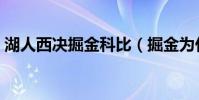 湖人西決掘金科比(掘金為什么打不過科比)