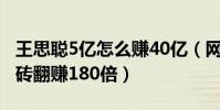 王思聰5億怎么賺40億(網友調侃五元手套搬磚翻賺180倍)
