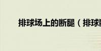 排球場上的斷腿(排球斷腿為什么)