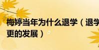 梅婷當年為什么退學(退學之后的事業迎來了更的發展)