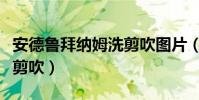 安德魯拜納姆洗剪吹圖片(拜納姆為什么叫洗剪吹)