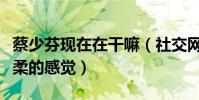 蔡少芬現在在干嘛(社交網站曬出近照給人溫柔的感覺)