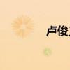 盧俊義的主要事跡有哪些？