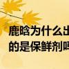 鹿晗為什么出門水杯不離手（粉絲調侃杯中裝的是保鮮劑嗎）