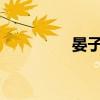晏子造楚故事概述及賞析
