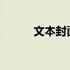 文本封面石頭的中心思想和原文