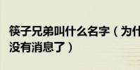 筷子兄弟叫什么名字(為什么現在的筷子兄弟沒有消息了)
