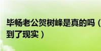 畢暢老公賀樹峰是真的嗎(劇中的情侶是否走到了現實)