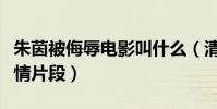 朱茵被侮辱電影叫什么(清純玉女受盡蹂躪激情片段)