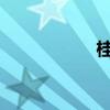 桂林山水文分段總結