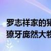 羅志祥家的豬現在怎么樣了（迷你小粉豬變身獠牙龐然大物）