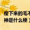 瘦下來的毛不易是什么樣子（毛不易成顏值男神是什么梗）