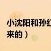 小沈陽和孫紅雷打架怎么回事（哥倆不是裝出來的）