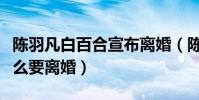陳羽凡白百合宣布離婚(陳羽凡與白百何為什么要離婚)