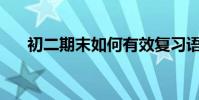 初二期末如何有效復習語文復習計劃?