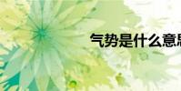 氣勢是什么意思?