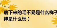 瘦下來的毛不易是什么樣子(毛不易成顏值男神是什么梗)