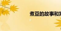 煮豆的故事和寓意