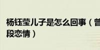 楊鈺瑩兒子是怎么回事(曾經與賴文峰有過一段戀情)