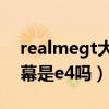 realmegt大師版是e4材質嗎（realmegt屏幕是e4嗎）