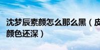 沈夢辰素顏怎么那么黑(皮膚比自己養的旺財顏色還深)